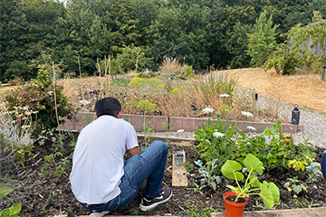 UH Allotments