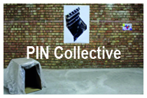 PIN Collective 