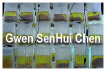 Gwen SenHui Chen